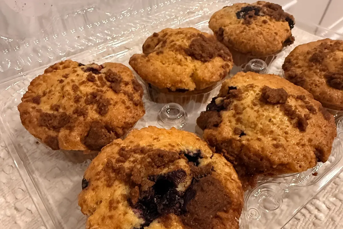 Fresh blueberry sourdough muffins